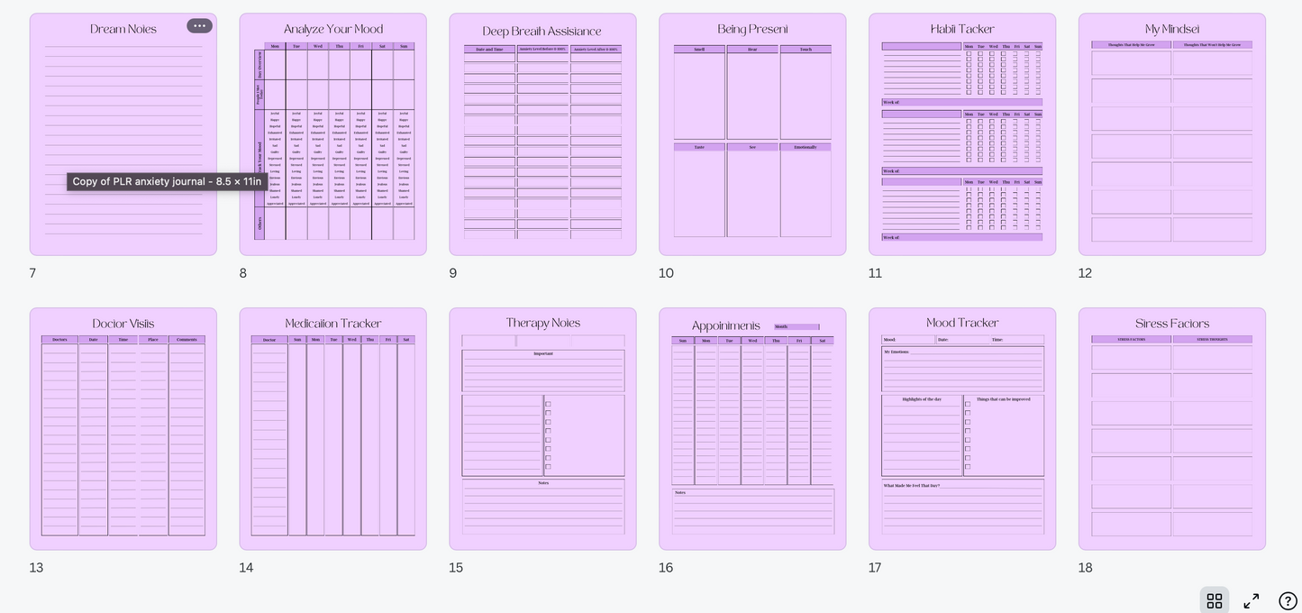 PLR Anxiety Journal